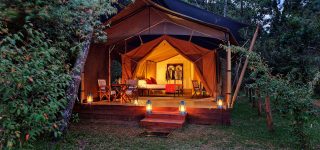 Elephant Pepper Camp