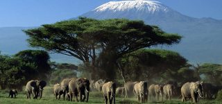 7 Days Kenya Wildlife & Beach Holiday