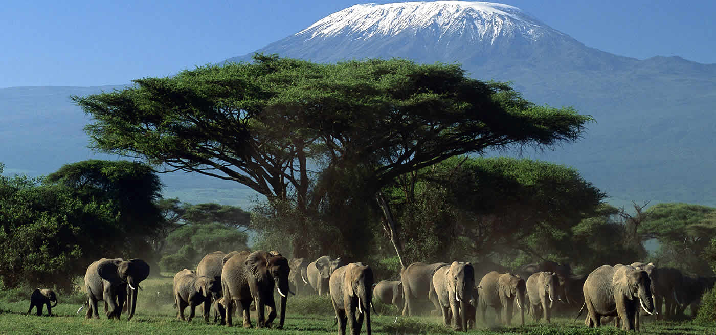 6 Reasons to visit Amboseli National Park | Kenya Safari Adventures