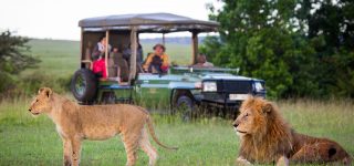 Top 7 five safari activities to do on a Kenya safari 