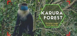Top 10 Enthralling Things To Do In Nairobi