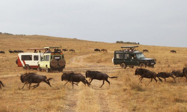 4 days Masai Mara safari