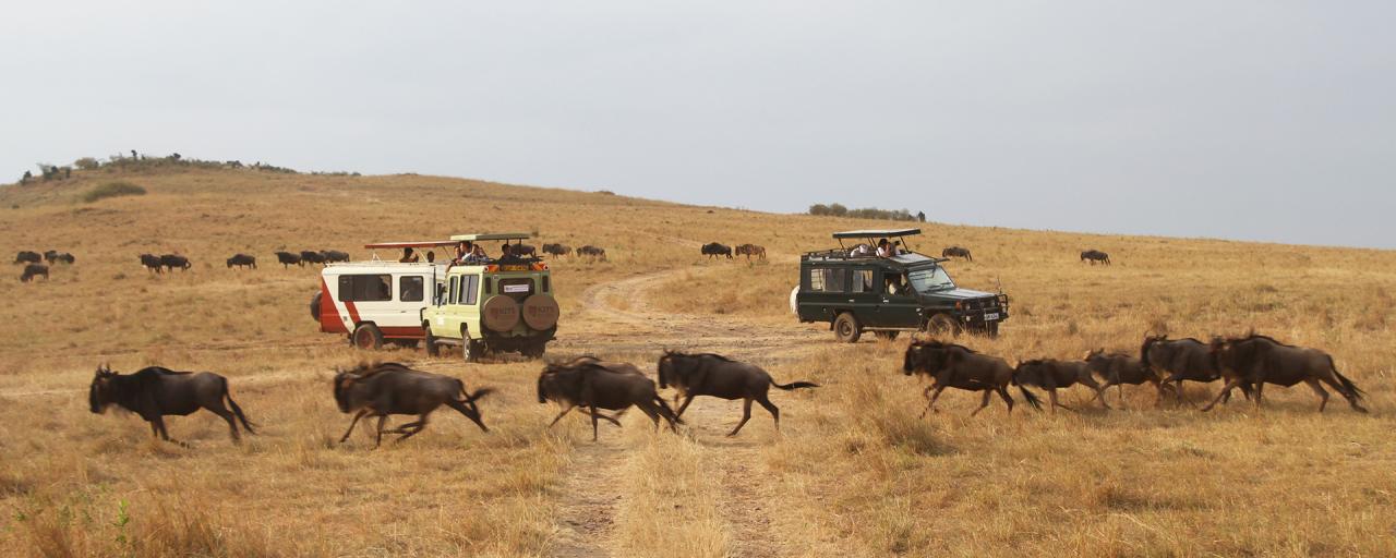 How to get to Masai mara