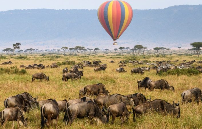 Masai Mara Hot air balloon safari floating right on top of the wildebeest.