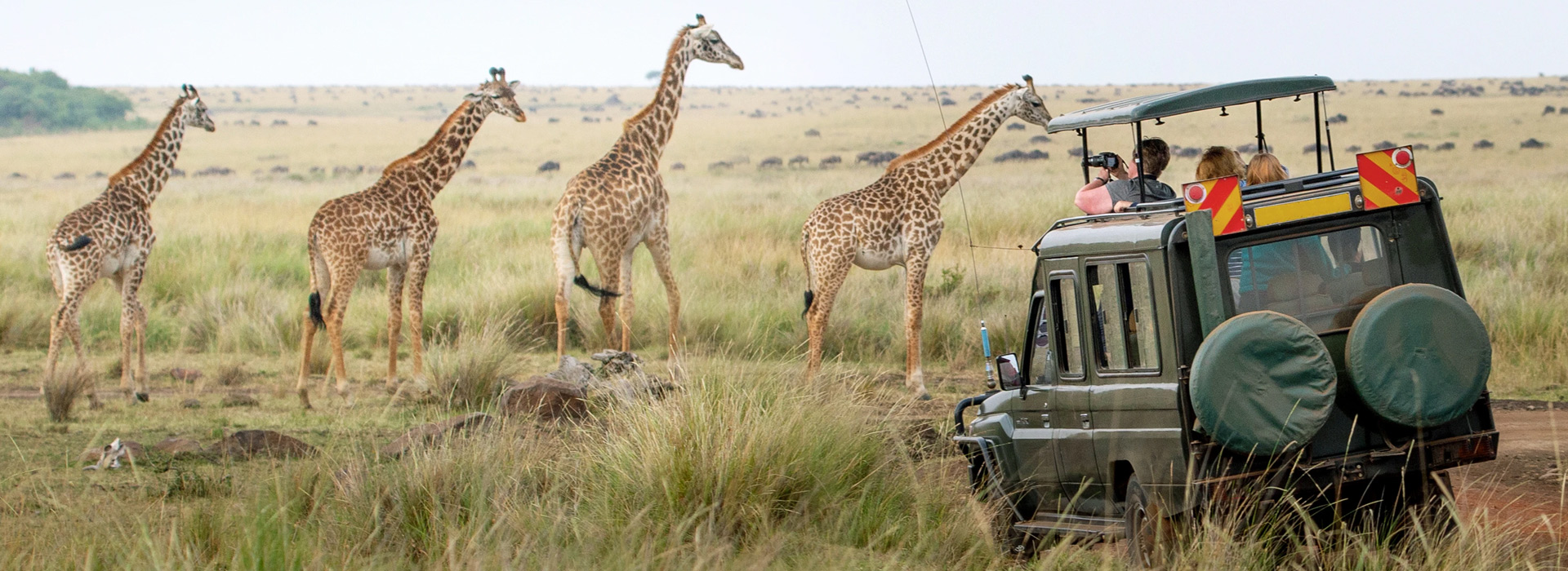 Kenya National Park Conservation Fees 2022 - 2024