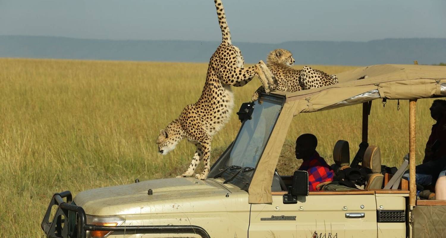 How to get to Maasai mara | Maasai Mara National Reserve | Kenya Tours