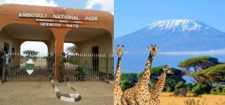 6 days Kenya wildlife and Diani Beach safari