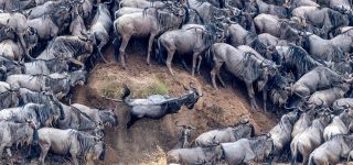 The Misconception of the Great Migration