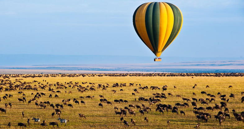 Balloon Safari in Serengeti: Is it worth it?