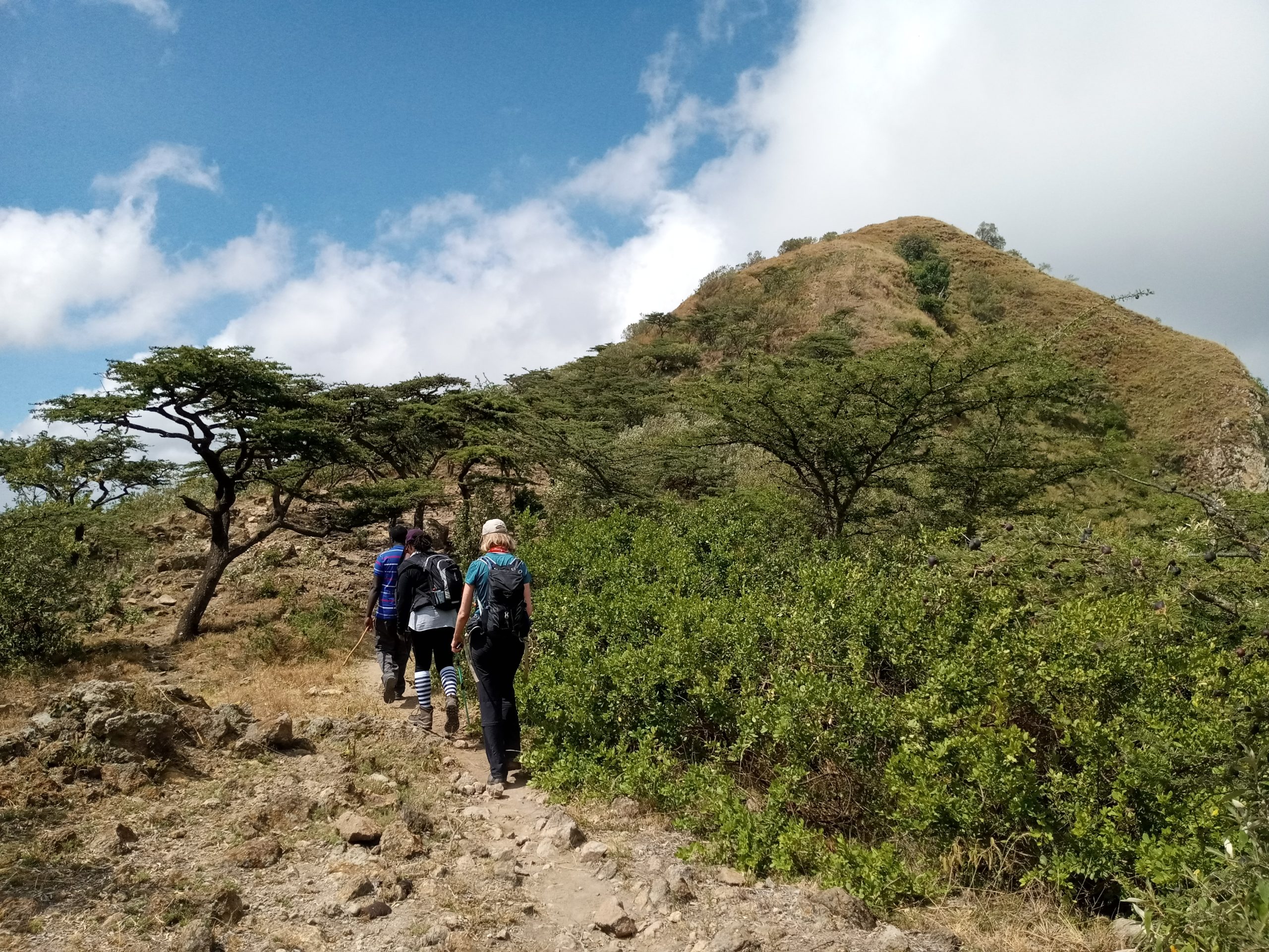 Hiking Mount Olesekut in Kenya 