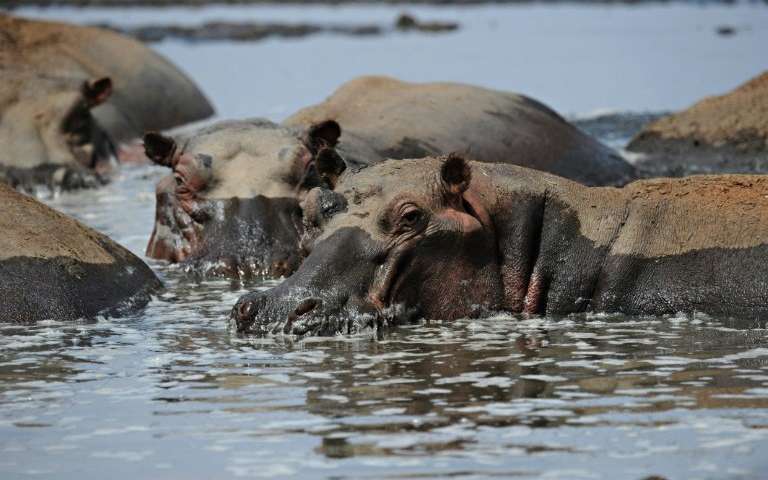 Interesting Facts about Lake Turkana in Kenya 