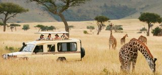 What national parks are in northern Tanzania?