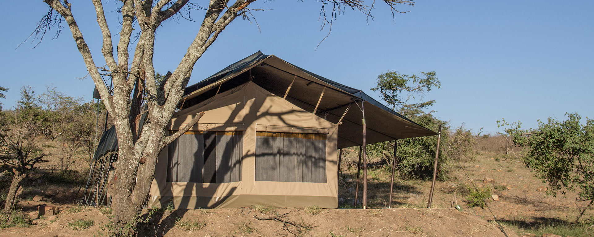 Porini cheetah camp