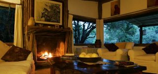 Richards’ forest camp