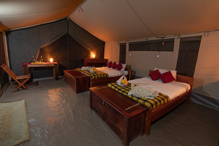 Harmmerkop migration camp