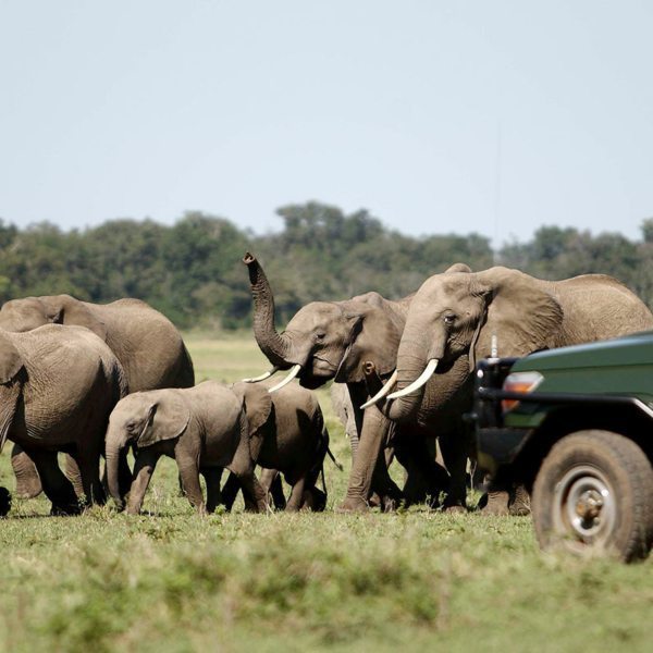 Frequently Asked Questions About Kenya Safaris
