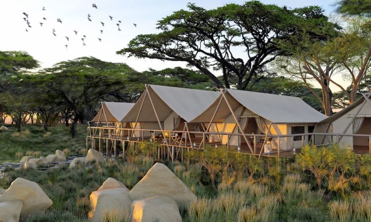 Mara Nyika Camp Safari