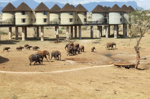 Salt Lick Lodge