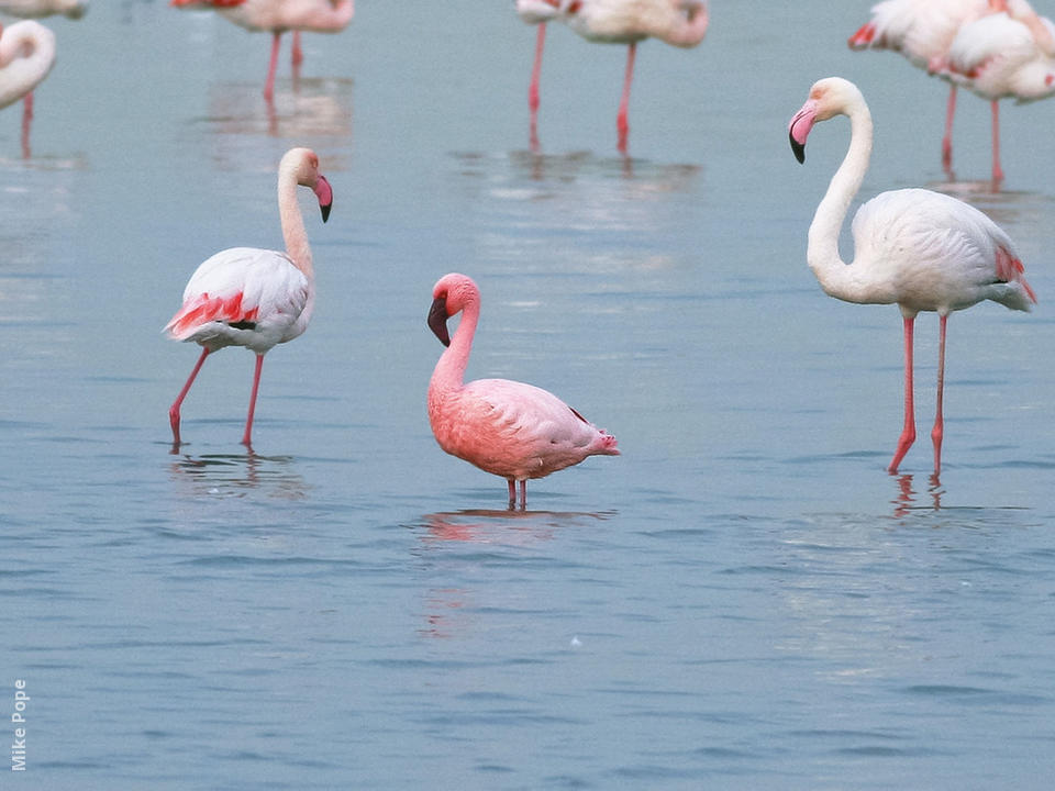 Best reasons to visit Kenya for your next vacation