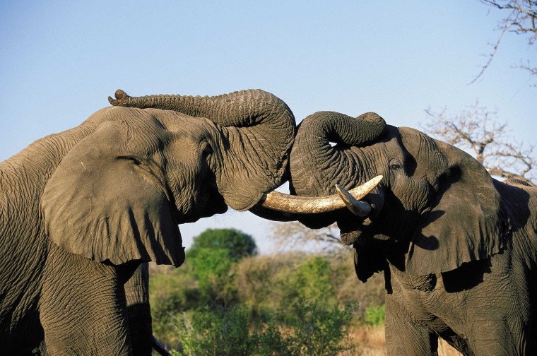 What is there to do in Marsabit National Park?