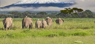 Unmissable Landscapes in Kenya