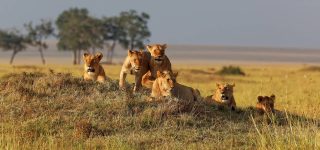 Which is the best month to visit Masai Mara