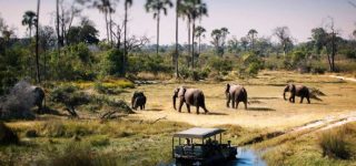 7 Days Tanzania Luxury Safari