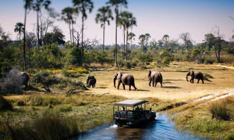7 Days Tanzania Luxury Safari