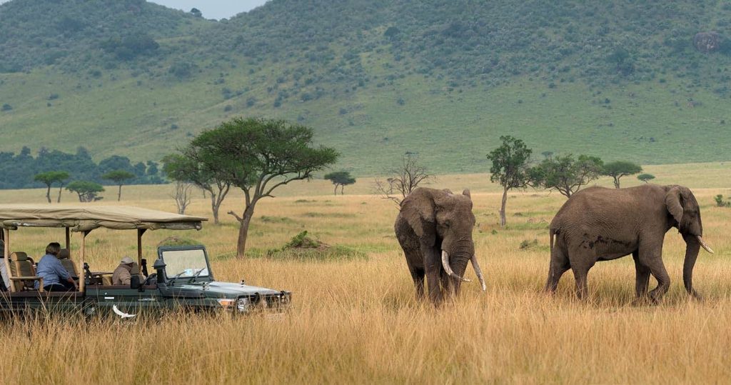 Mara Triangle camping Kenya Wildlife Tours Kenya Safari