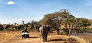 How To Travel Between Masai Mara And The Serengeti