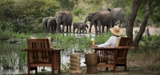 Our top 8 luxury safaris