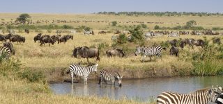 Masai Mara National Reserve vs Masai Mara Conservancies