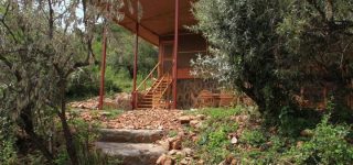 Mara Moon Guest Houses