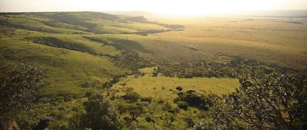 What makes Maasai Mara National Reserve unique?