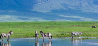 5 Days Tanzania Budget Safari