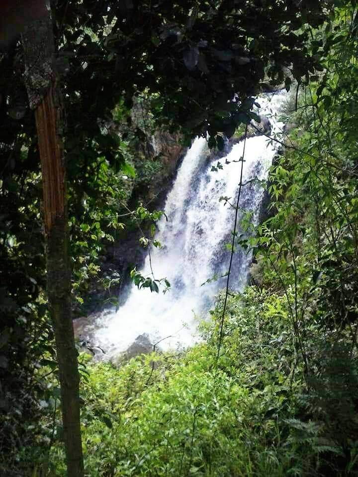 Kenya safari tours in Nyandarua County