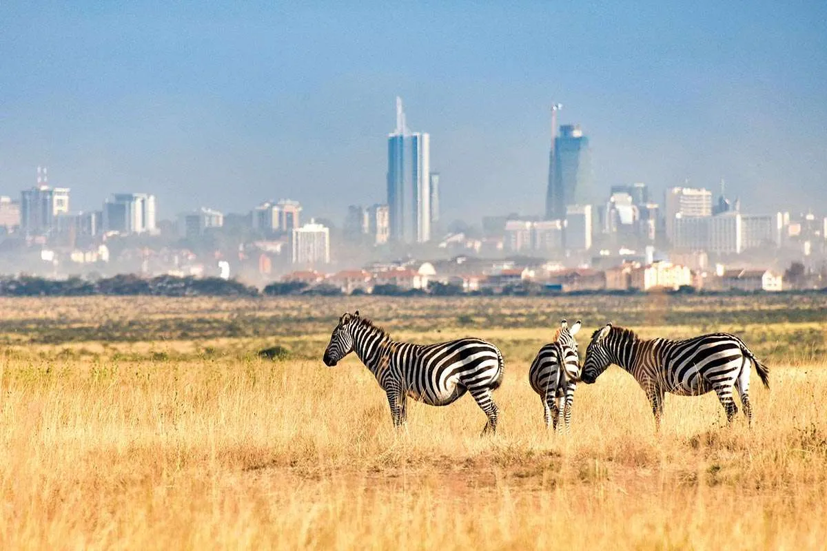 Climate In Nairobi National Park