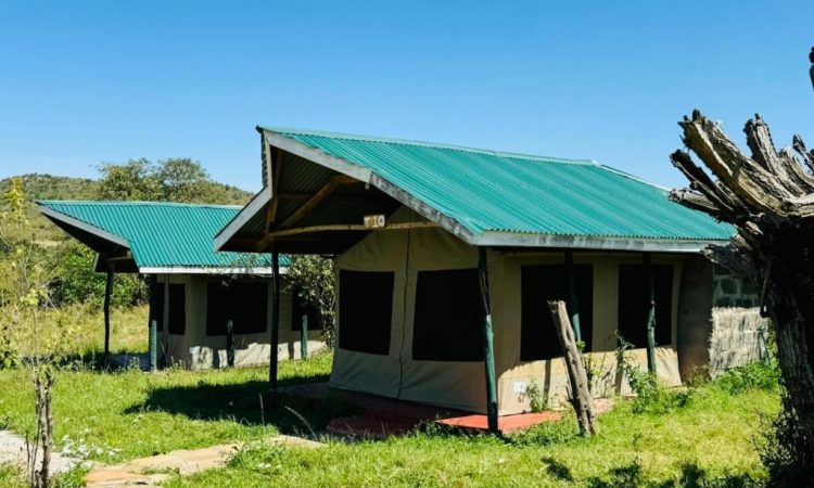 Flair Mara Camp