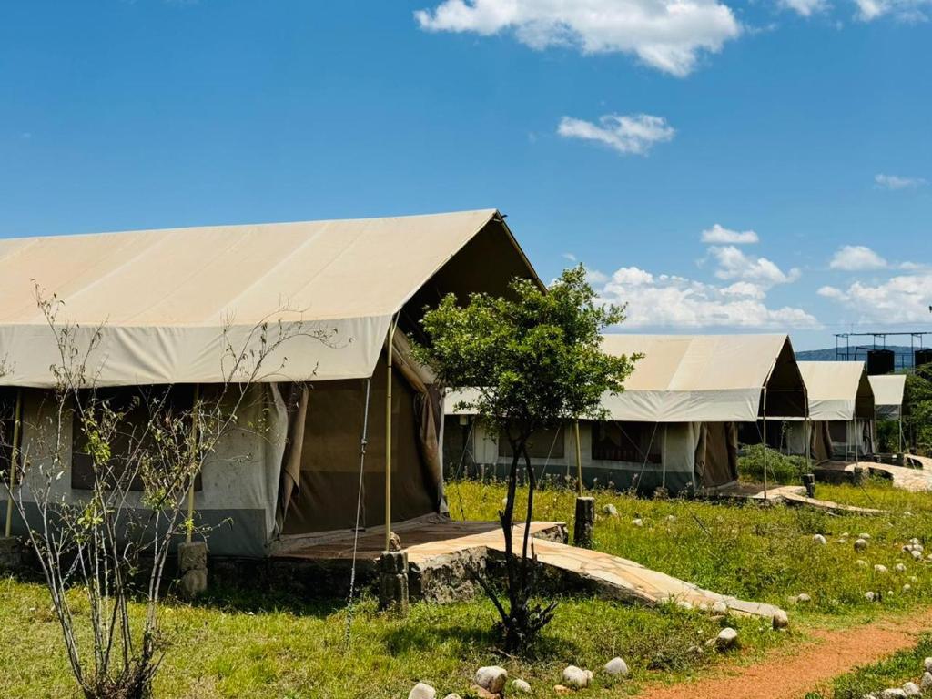 Flair Mara Camp