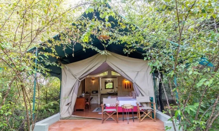 Bella Mara Camp