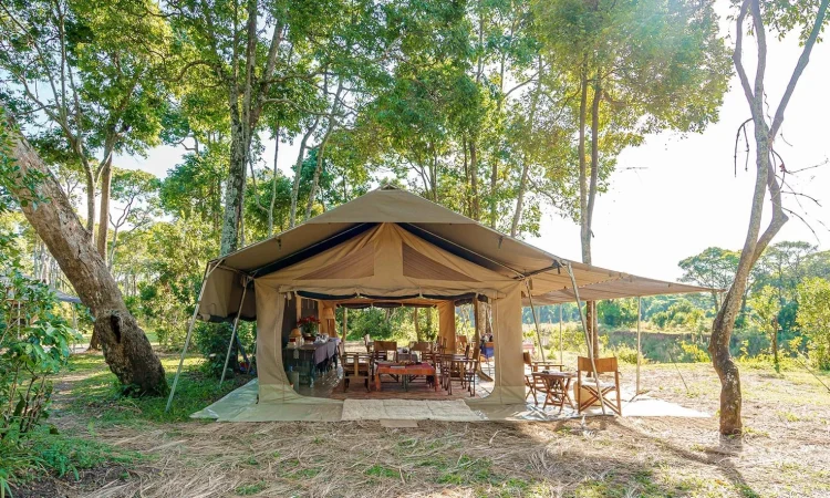 Roca River Camp