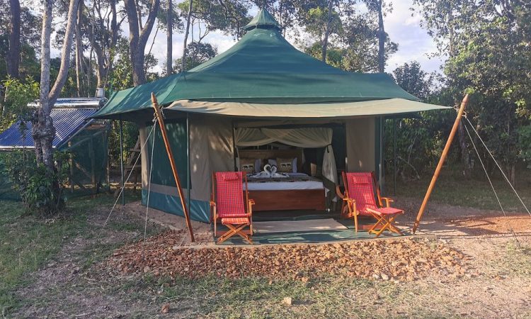 Unbounded Paradise Mara Camp