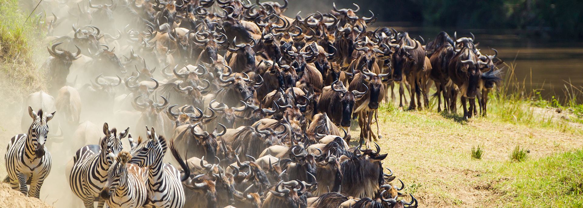 When is the Best Time to Visit Kenya?