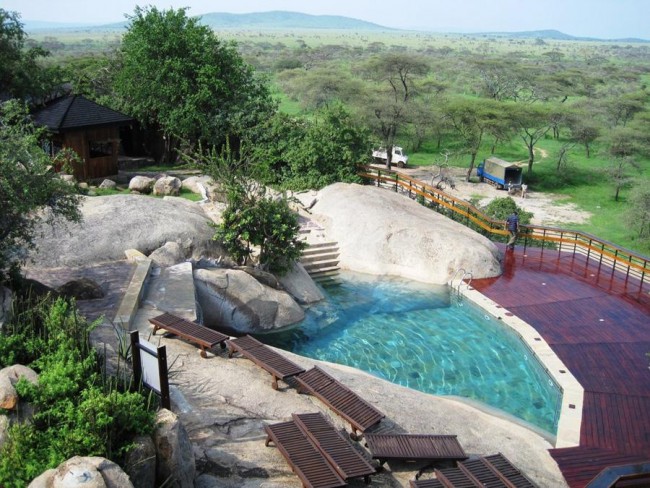 7 Days Highlights of Tanzania Safari