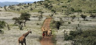 Walking safari in the Laikipia Plateau