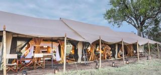 Luxury Songa Tented Camp in Serengeti