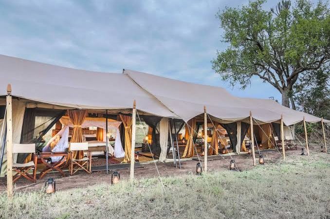 Luxury Songa Tented Camp in Serengeti